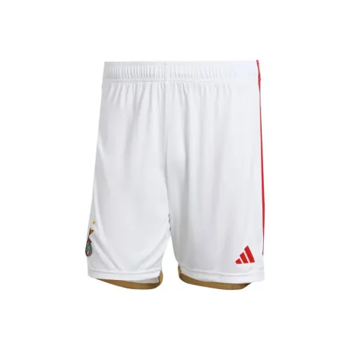 Adidas BENFICA 23 24 Дом Шорты Футбол Низ Мужской Белый