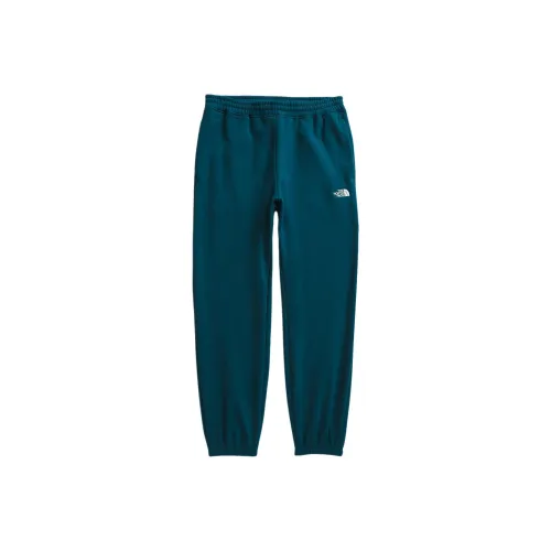 THE NORTH FACE Зеленые Спортивные Брюки для Мужчин