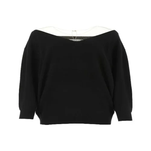 alexander wang Черные Женские Свитеры