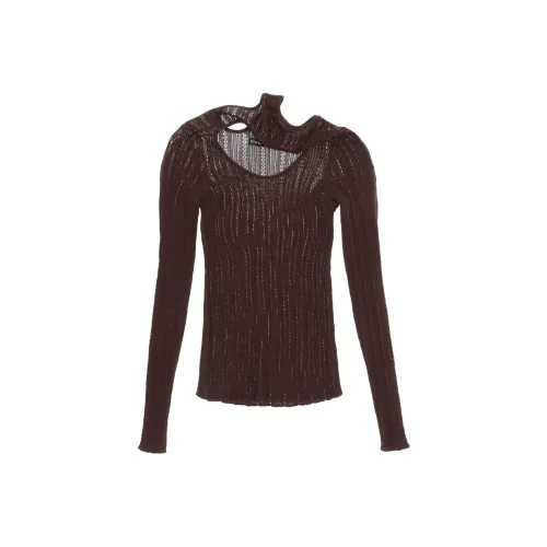 Y/Project Коричневые Женские Свитеры