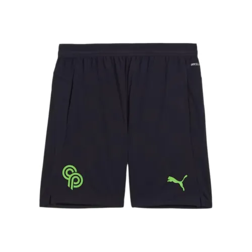 PUMA Blue Мужские спортивные шорты