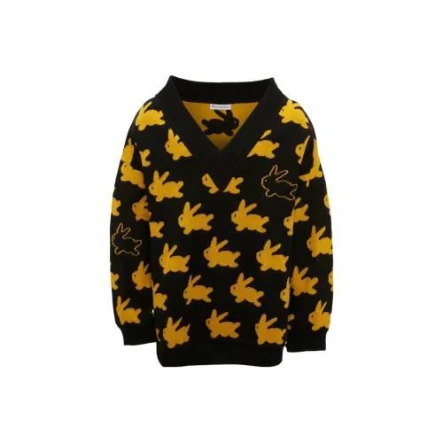 JW Anderson Черные Женские Свитеры