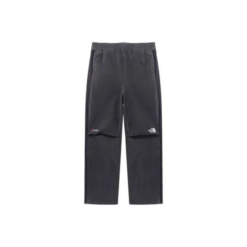 THE NORTH FACE Polartec SS24 Banff Флисовые штаны Флисовые штаны Унисекс Серый