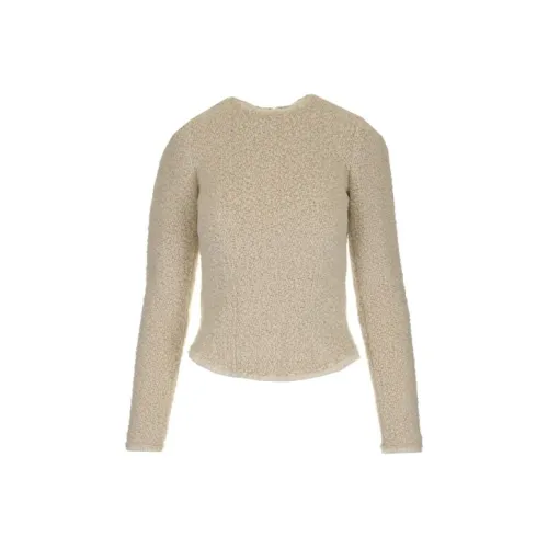 ISABEL MARANT Коричневый Женские Свитеры