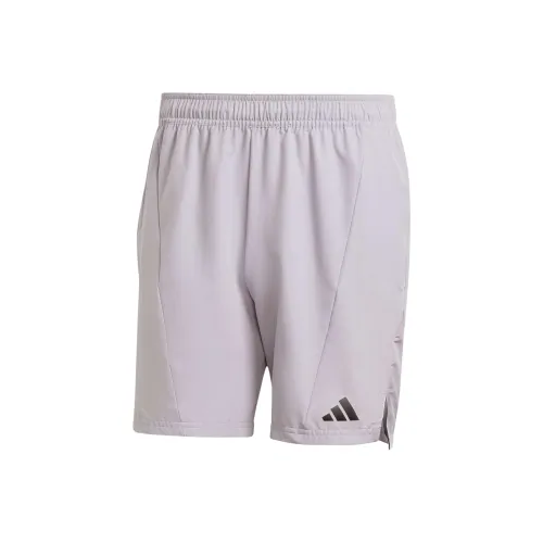 Adidas Тренировка Шорты Спортивные Шорты Мужские Слава Серый