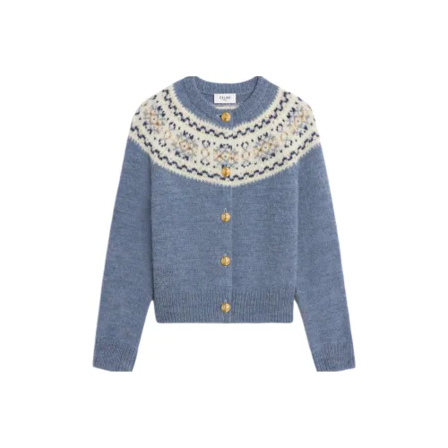 CELINE SS24 Свитер Женский Светло-Синий