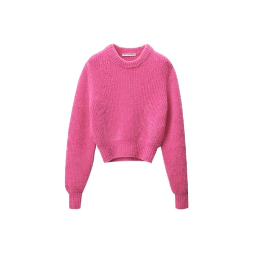 alexander wang Розовые Женские Свитеры