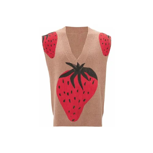 JW Anderson Коричневые Женские Свитеры