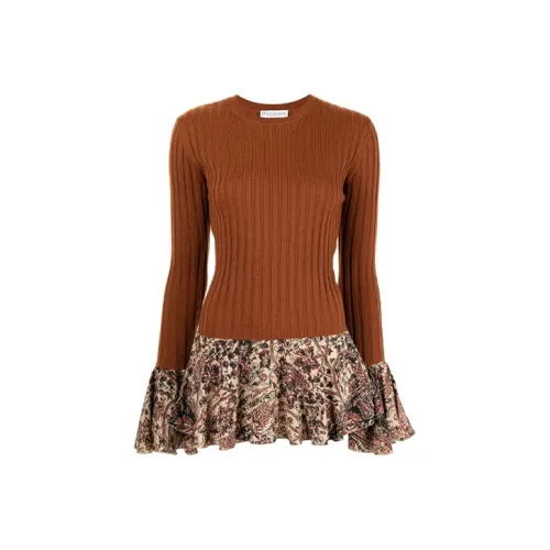 JW Anderson Коричневые Женские Свитеры