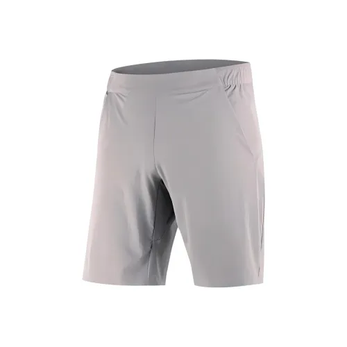 SALOMON WAYFARER Повседневные шорты Мужские Frost серый