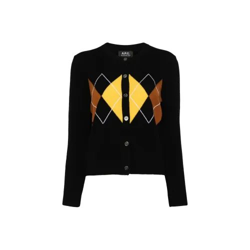 A.P.C FW24 Свитер Женский Черный
