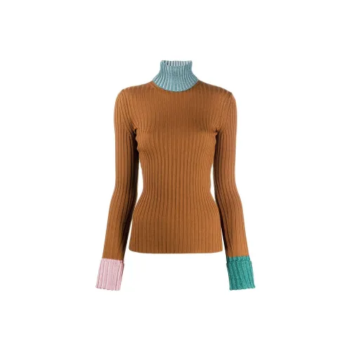 Lanvin Коричневые Женские Свитеры