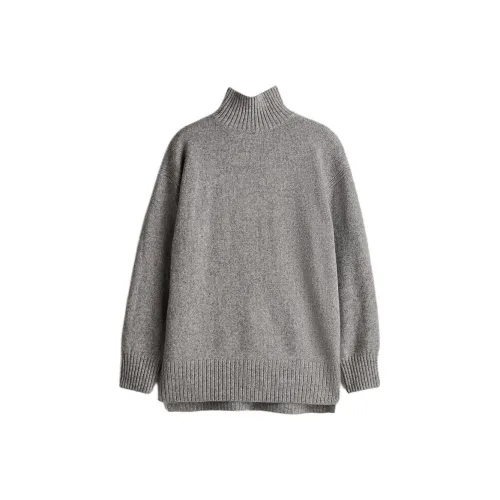H&M Смешанный серый Женские свитеры