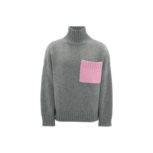 JW Anderson Серые Женские Свитеры
