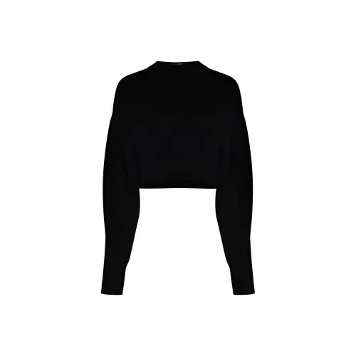 alexander wang Черные Женские Свитеры