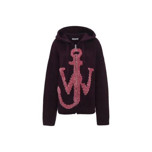 JW Anderson Фиолетовые Женские Свитеры