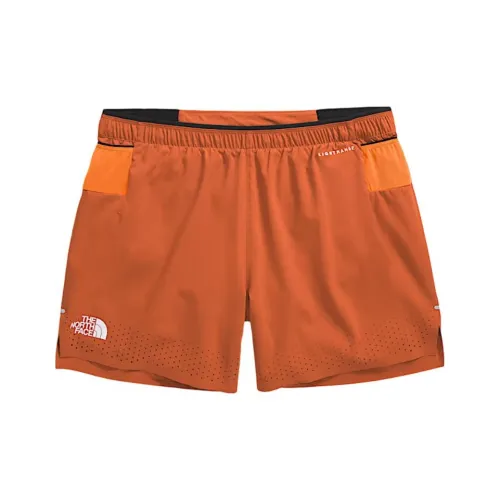 The North Face Железо Бронза/Цифровой Апельсин Мужские спортивные шорты