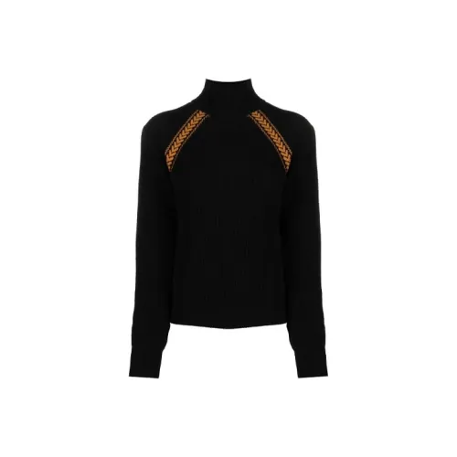 ETRO Черные Женские Свитеры