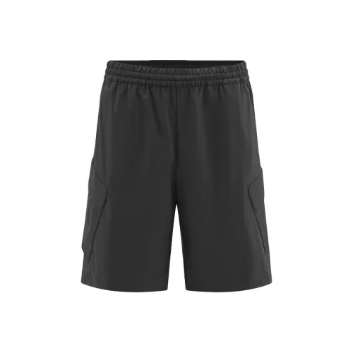 DESCENTE BLEU Мужские спортивные шорты