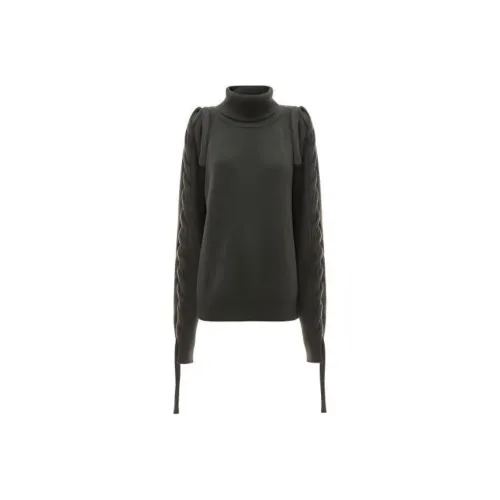 JW Anderson Зеленые Женские Свитеры