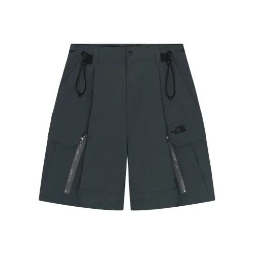 The North Face Чернила Угольно-серый Унисекс Спортивные шорты