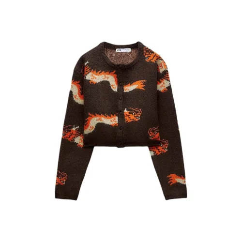 ZARA Коричневые Женские Свитеры