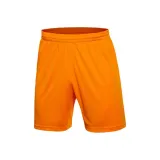 Ледяной апельсин