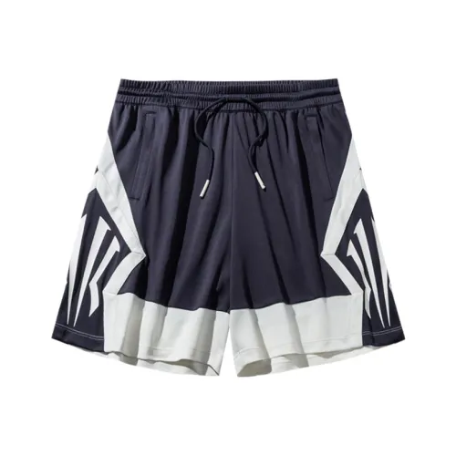 ANTA Баскетбольные шорты Унисекс Noon Сливовый фиолетовый