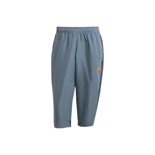 Adidas ESSENTIALSAEROREADY FW24 Спортивные шорты Мужской Great Rock Знак Змеи Команда Черный Супер Апельсин