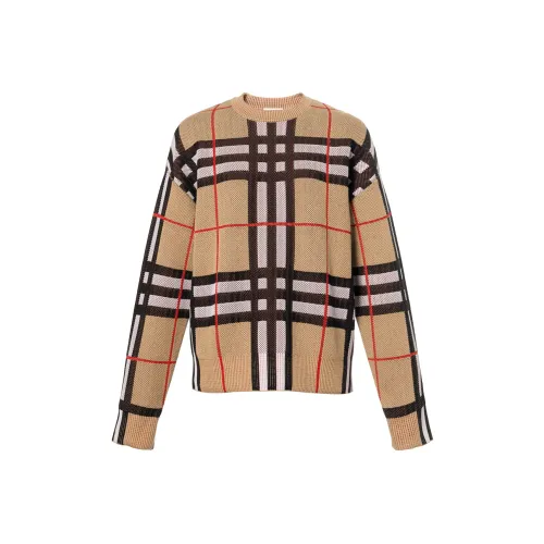 Burberry FW23 Свитер Женский Коричневый