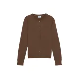 Коньяк / Цвет коньяка Коричневый