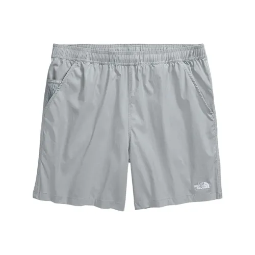 The North Face Серые Мужские Спортивные Шорты