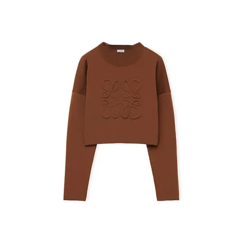 LOEWE Женские Свитеры