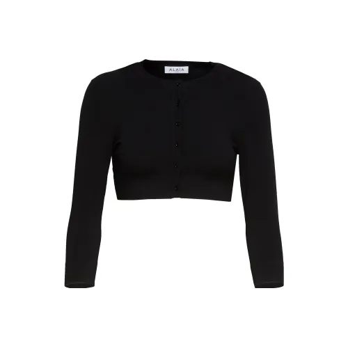 Calvin Klein Черные Женские Свитеры