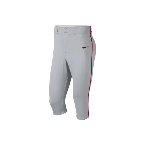 Спортивные шорты Nike Vapor SELECT 2 Мужские Wolf Gray