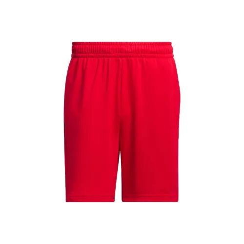 Adidas Legends 3 Stripes Баскетбольные шорты Баскетбольные шорты Мужские Красные