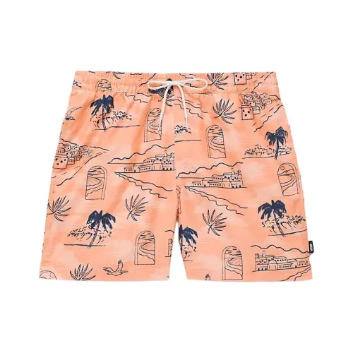 Vans Primary С принтом Эластичные Шорты для серфинга 17'' Повседневные шорты Мужские Бронза