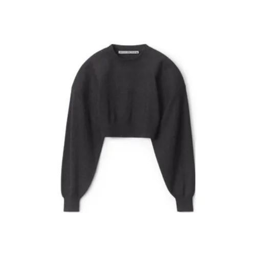 alexander wang Черные Женские Свитеры