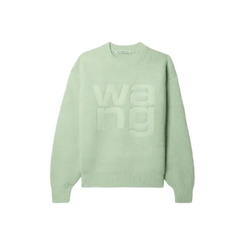 alexander wang Зеленые Женские Свитеры