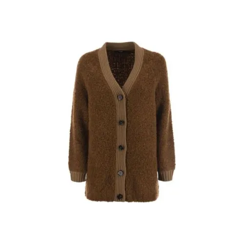 WEEKEND MaxMara Темно-кофейные Женские Свитеры