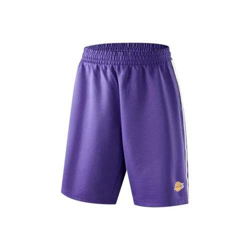 NBA Повседневные шорты Унисекс Фиолетовый