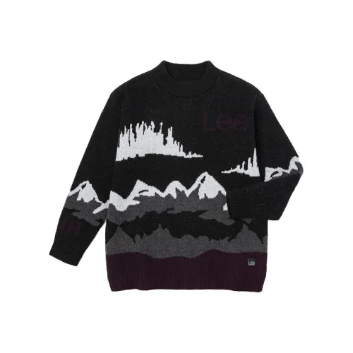 Lee Черные Женские Свитеры