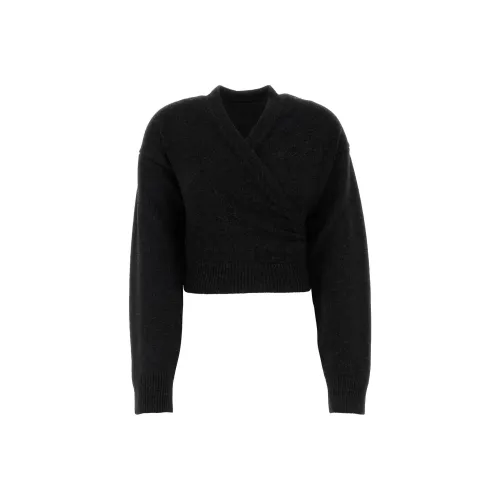 Balenciaga FW24 Свитер Обычный крой Женский Серый