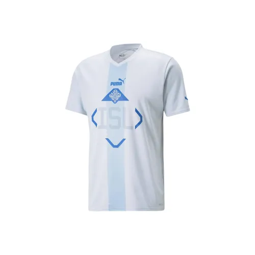 PUMA Iceland Футбол Джерси Мужской Светло-Синий