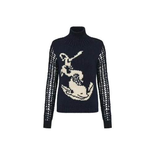 DIOR Черные Женские Свитеры
