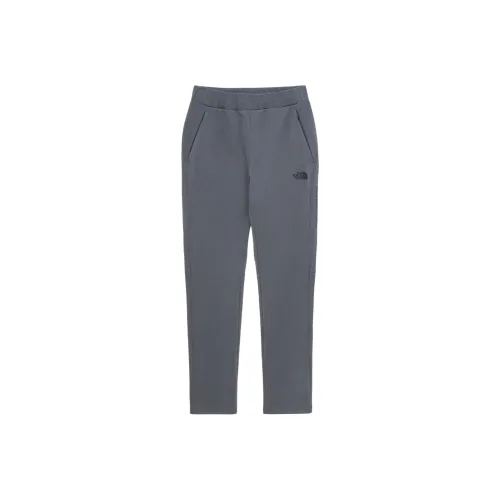 The North Face Heather/Gray Мужские спортивные брюки