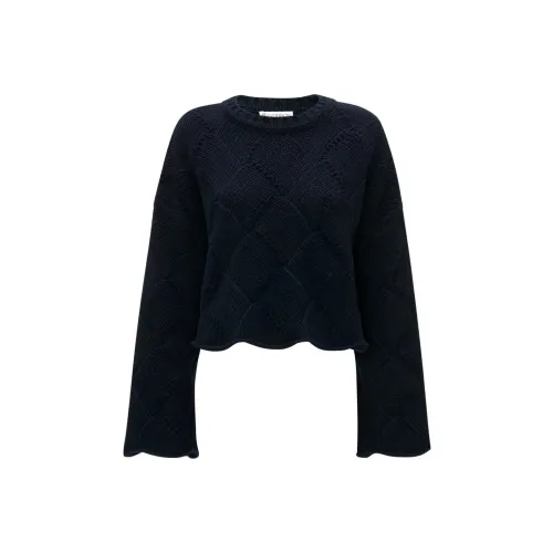 JW Anderson Темно-синий Женские Свитеры