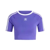 Сине-фиолетовый