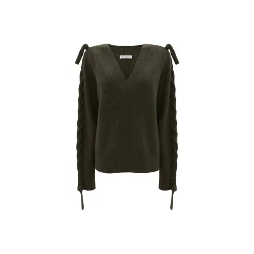 JW Anderson Зеленые Женские Свитеры