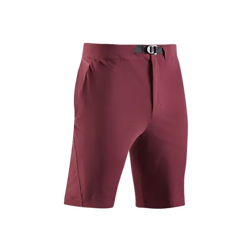 XBIONIC Мужские Повседневные Шорты